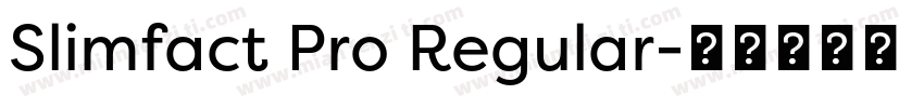 Slimfact Pro Regular字体转换